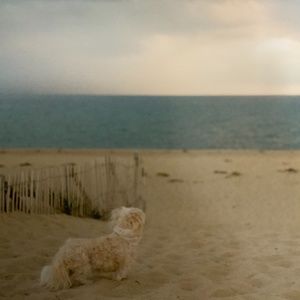 Meet your Posher, Aviana